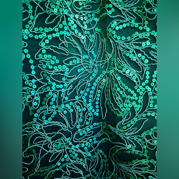 TADASHI SHOJI Terran Embroidered Sequin Embellish Midi Dress Pine Green Size 10 - Picture 5 of 5